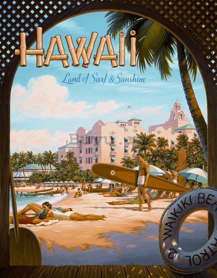 Placă metalică - Hawaii (1)