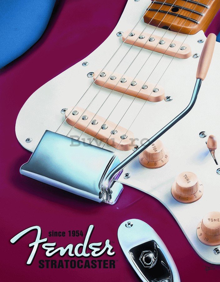 Placă metalică - Fender (stratocaster)