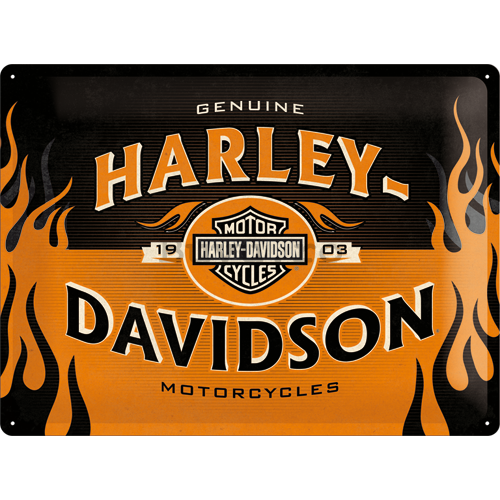 Placă metalică - Harley-Davidson (Flames)