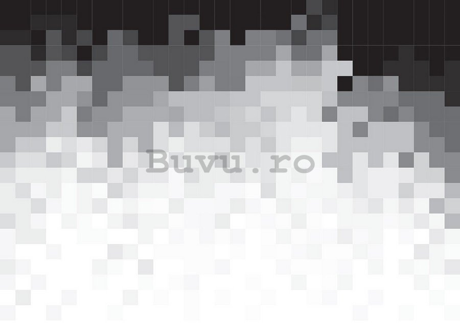 Fototapet: Pixeli alb-negru (1) - 184x254 cm