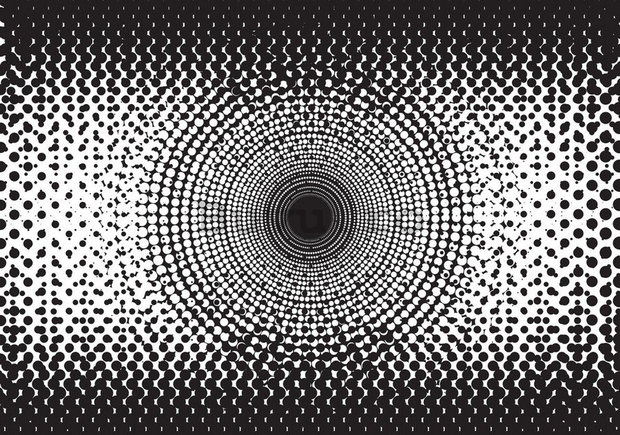 Fototapet: Abstracție alb-negru (2) - 184x254 cm