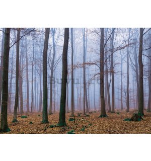 Fototapet: Ceață în pădure (1) - 184x254 cm
