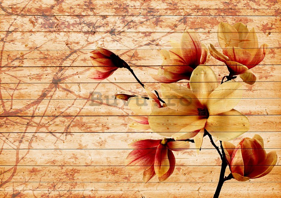 Fototapet: Magnolii (4) - 184x254 cm