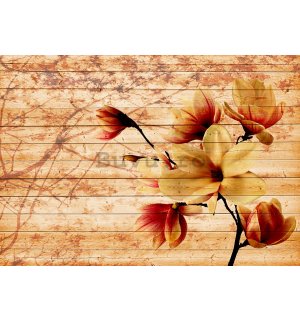 Fototapet: Magnolii (4) - 184x254 cm