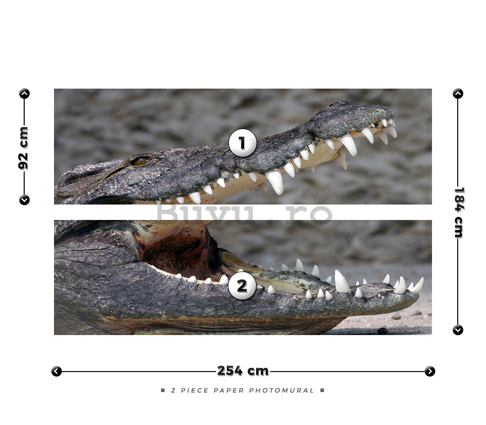 Fototapet: Crocodil - 184x254 cm