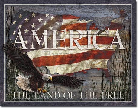 Placă metalică - America (The Land of the Free)