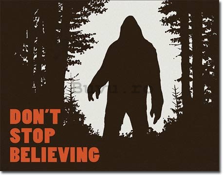 Placă metalică - Don't Stop Believing