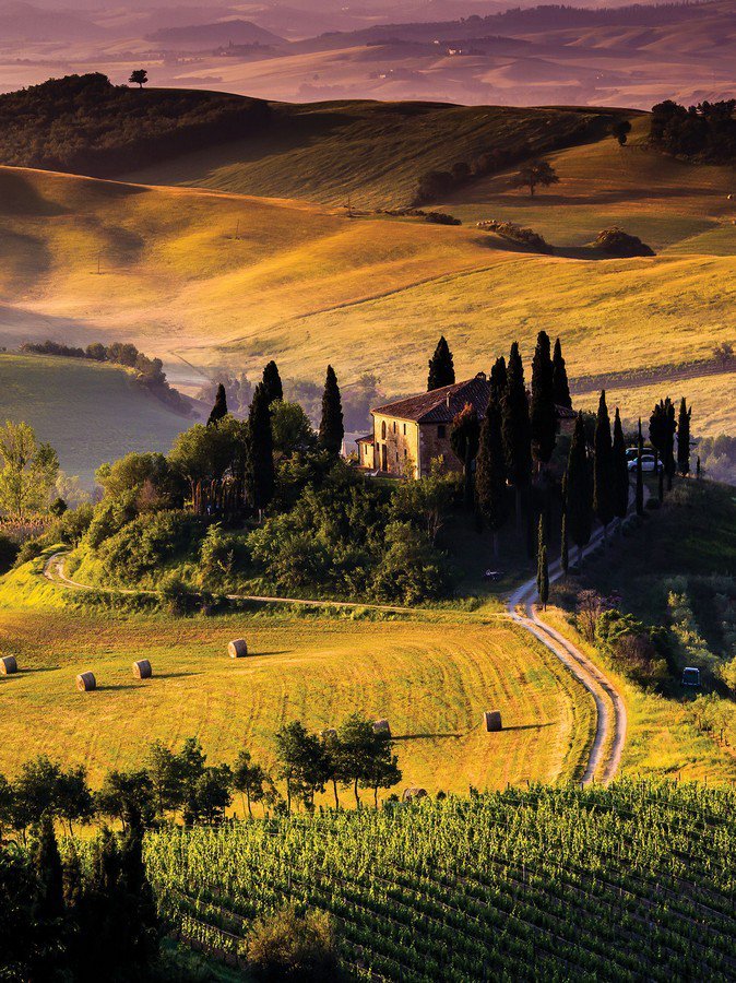 Fototapet: Toscana - 254x184 cm