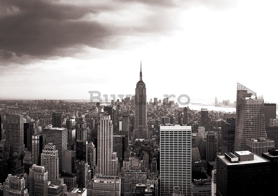 Fototapet vlies: Manhattan (Alb-negru) - 184x254 cm