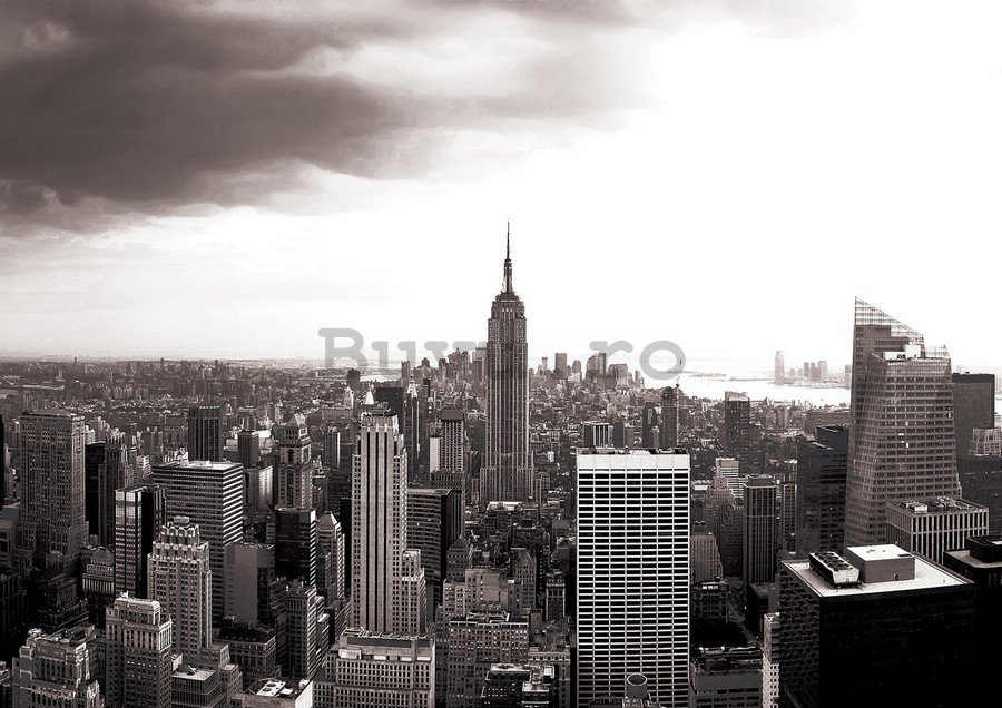 Fototapet: Manhattan (Alb-negru) - 104x152,5 cm