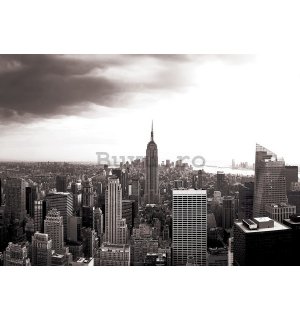 Fototapet: Manhattan (Alb-negru) - 104x152,5 cm