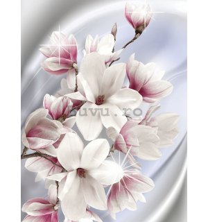Fototapet: Magnolii (1) - 254x184 cm