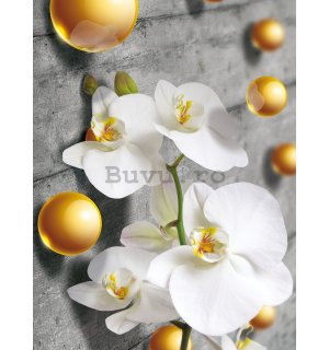 Fototapet: Orhideea și biluțe galbene - 254x184 cm