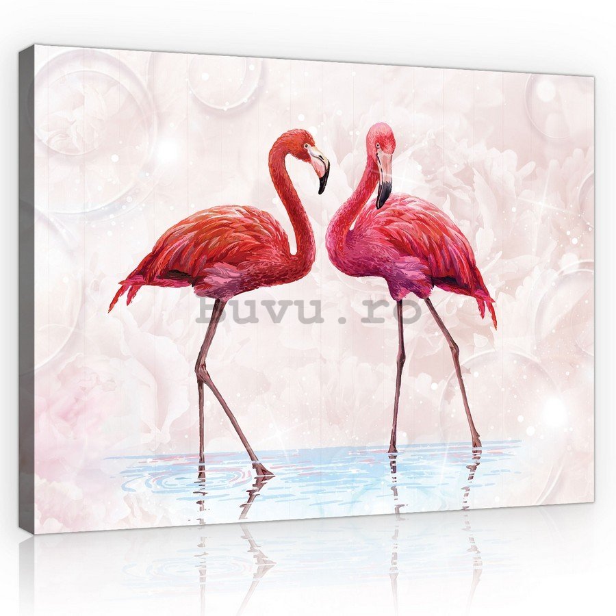 Tablou canvas: Flamingo - 75x100 cm