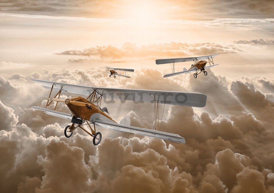 Tablou canvas: Avioane biplane - 75x100 cm