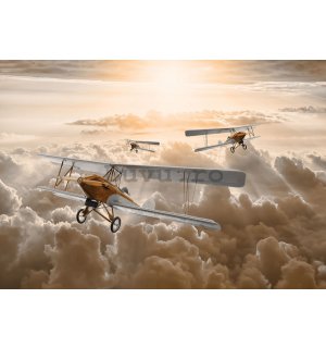 Tablou canvas: Avioane biplane - 75x100 cm