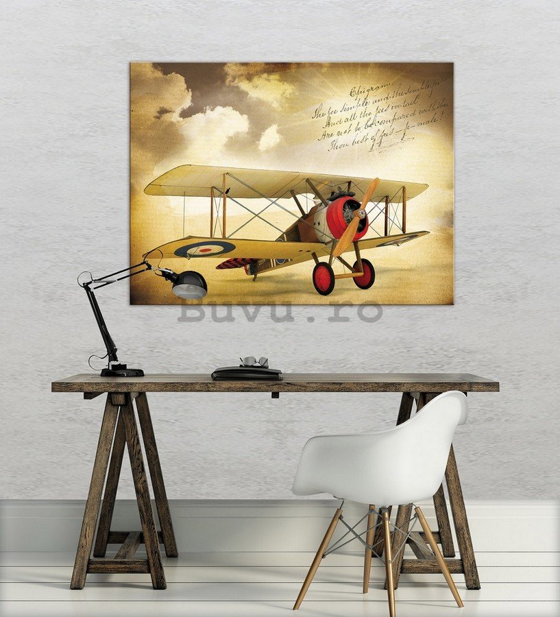 Tablou canvas: Avion biplan (Vintage) - 75x100 cm