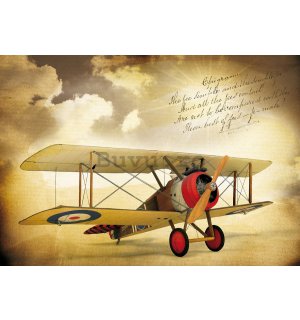Tablou canvas: Avion biplan (Vintage) - 75x100 cm