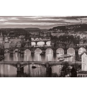 Tablou canvas: Praga (alb-negru) - 75x100 cm