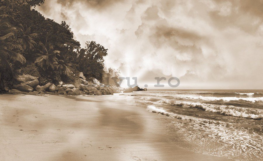 Tablou canvas: Paradis pe plajă (sepie) - 75x100 cm