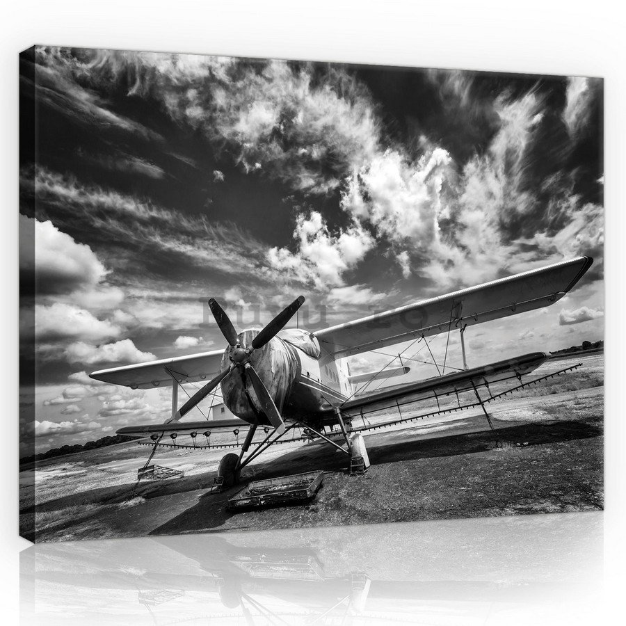 Tablou canvas: Avion biplan (alb-negru) - 75x100 cm