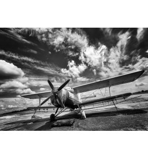 Tablou canvas: Avion biplan (alb-negru) - 75x100 cm