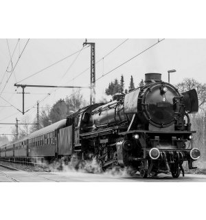 Tablou canvas: Locomotivă cu abur (alb-negru) - 75x100 cm
