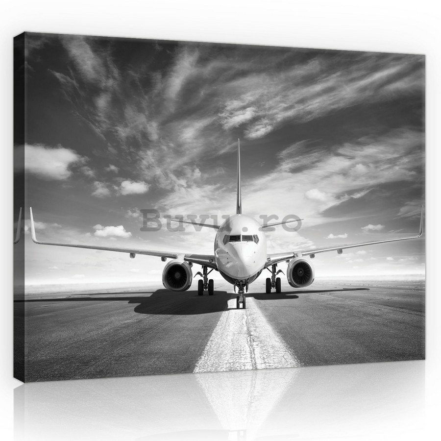 Tablou canvas: Avion cu reacție (alb-negru) - 75x100 cm