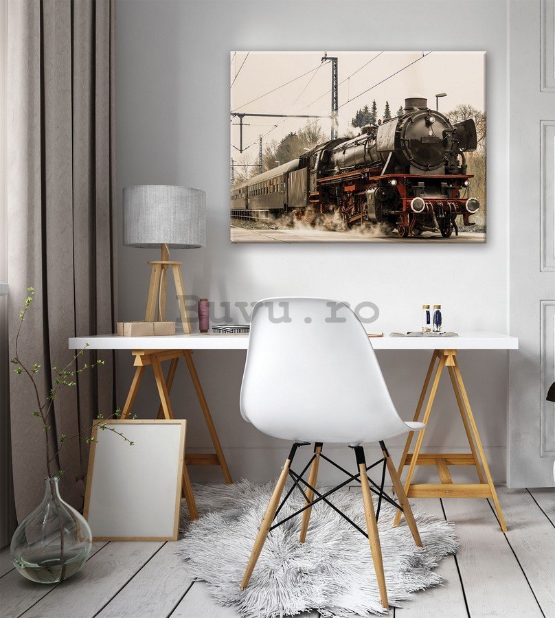 Tablou canvas: Locomotivă cu abur (1) - 75x100 cm