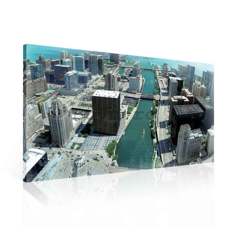 Tablou canvas: Chicago River - 75x100 cm