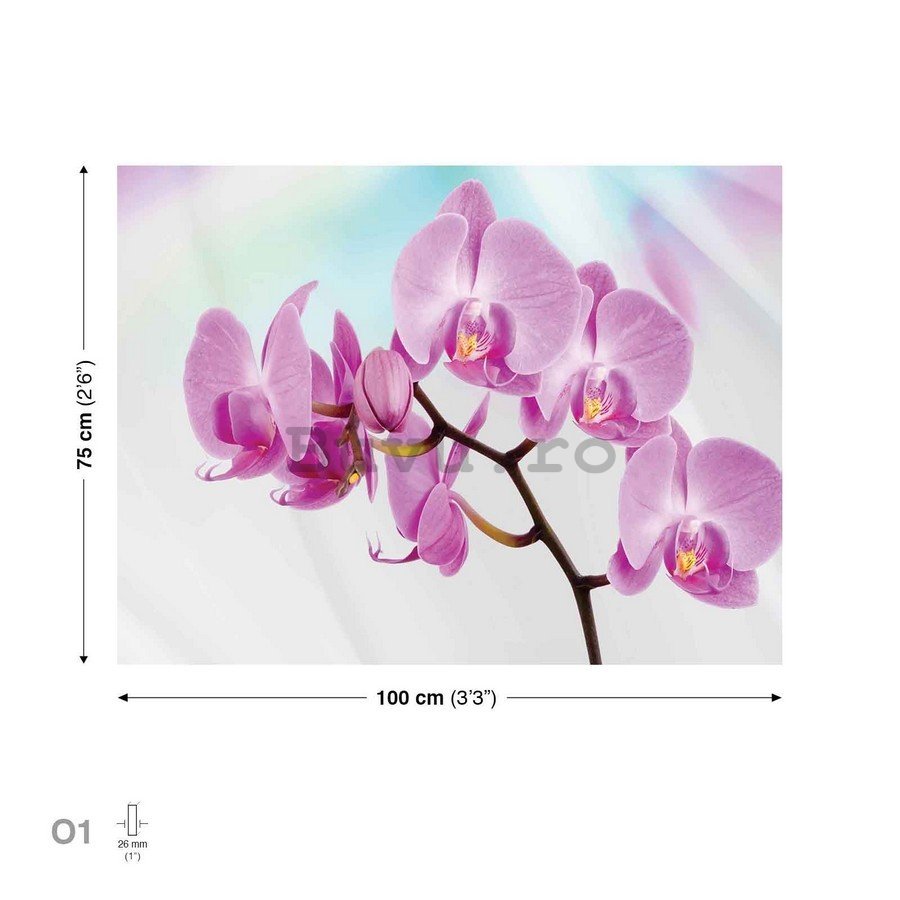 Tablou canvas: Orhideea Violet - 75x100 cm