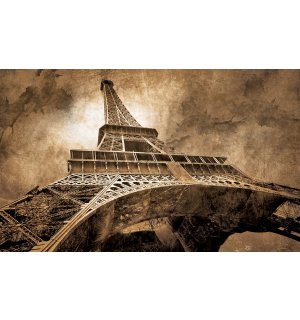 Tablou canvas: Turnul lui Eiffel (3) - 75x100 cm