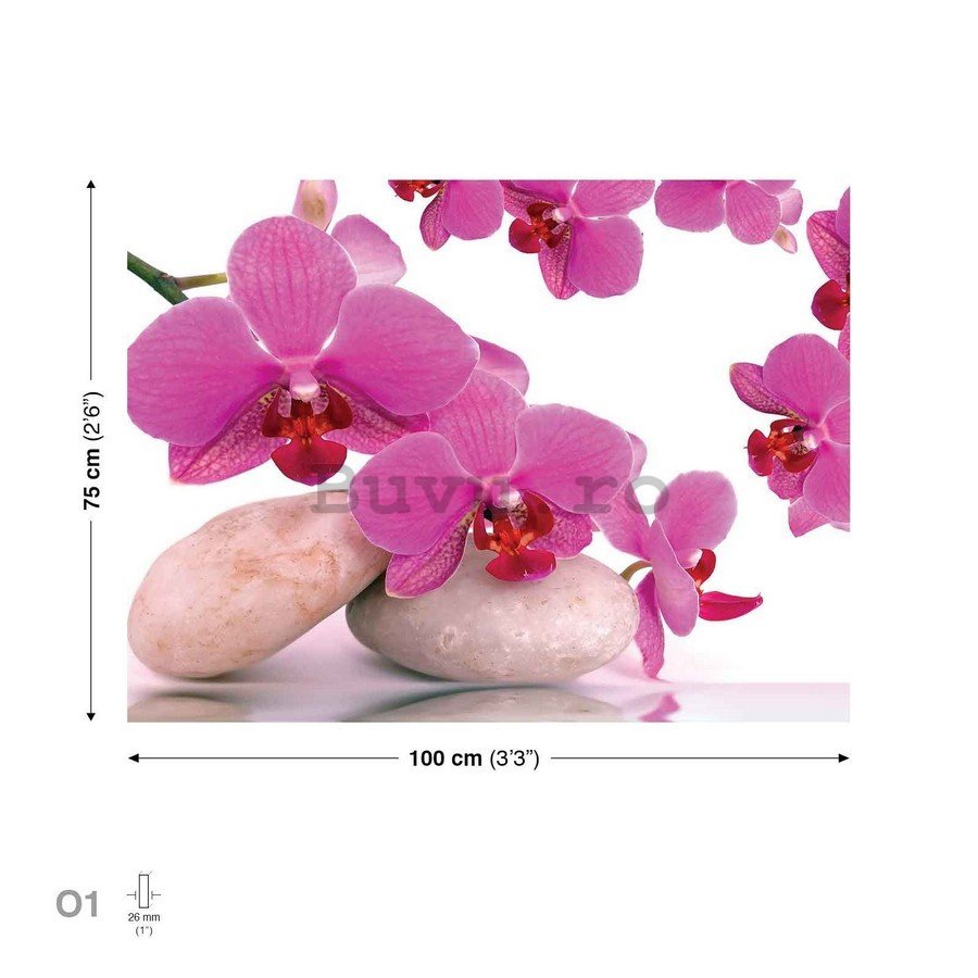 Tablou canvas: Orhideea și pietre albe - 75x100 cm