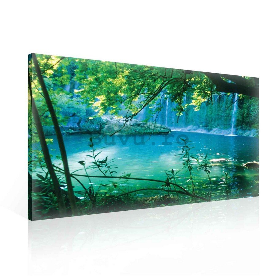 Tablou canvas: lac și cascadă - 75x100 cm