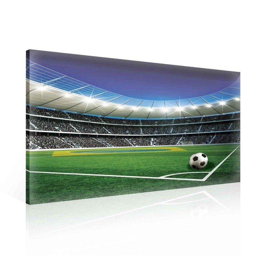Tablou canvas: Stadion de Fotbal (5) - 75x100 cm