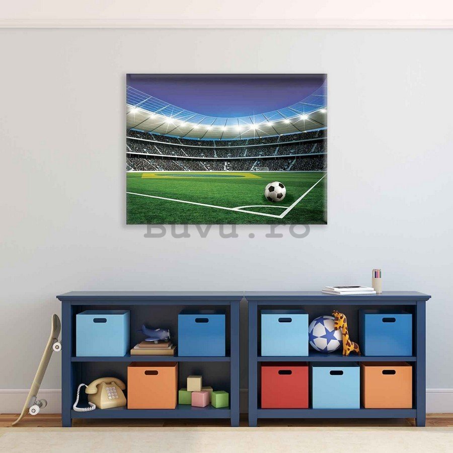 Tablou canvas: Stadion de Fotbal (5) - 75x100 cm