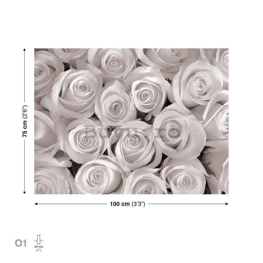 Tablou canvas: Trandafir alb - 75x100 cm
