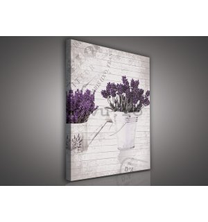 Tablou canvas: Găleată cu lavandă (1) - 75x100 cm