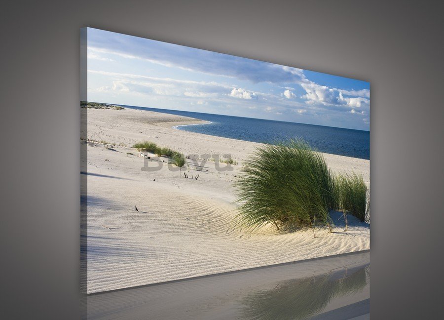 Tablou canvas: Plajă nisipoasă (1) - 75x100 cm