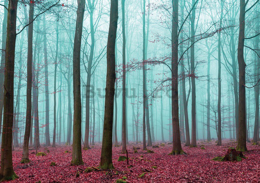 Tablou canvas: Ceață în pădure (3) - 75x100 cm