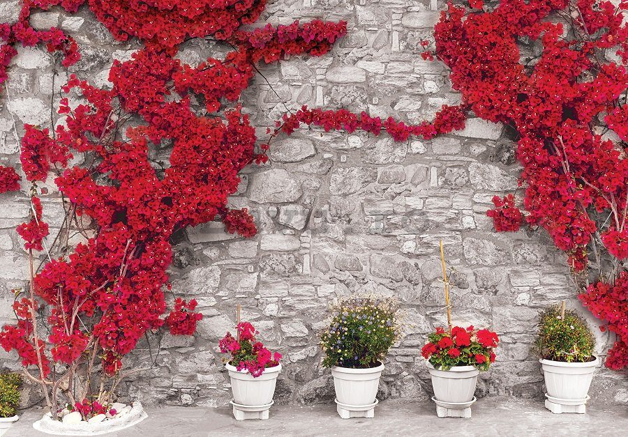 Tablou canvas: Zid roșu cu flori - 75x100 cm