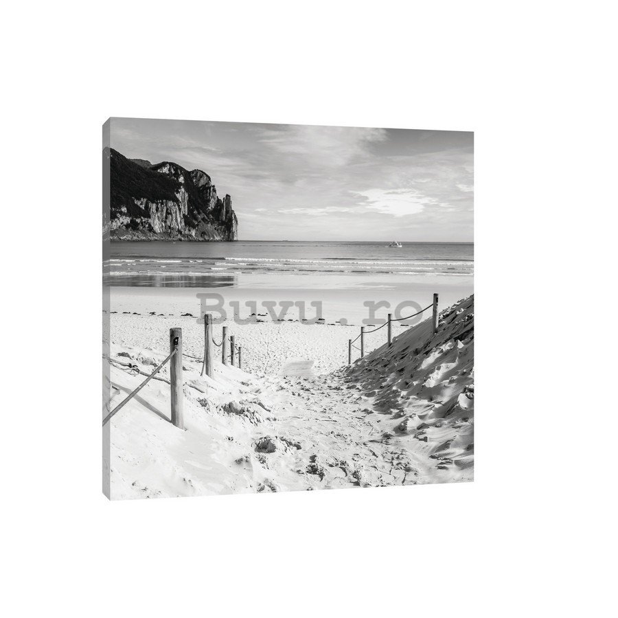 Tablou canvas: Plajă nisipoasă (alb-negru) - 75x100 cm