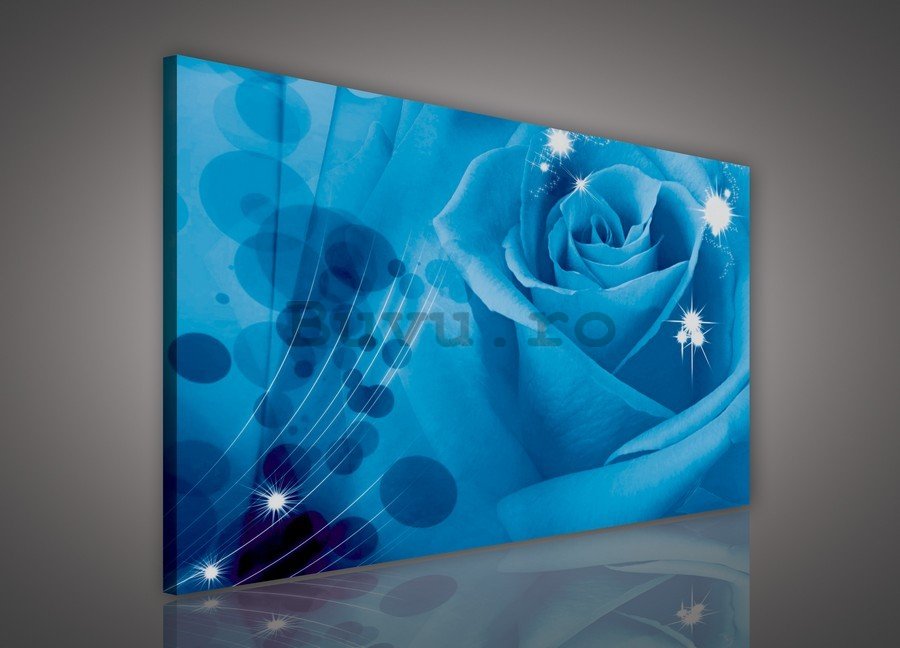 Tablou canvas: Albastru trandafir (1) - 75x100 cm