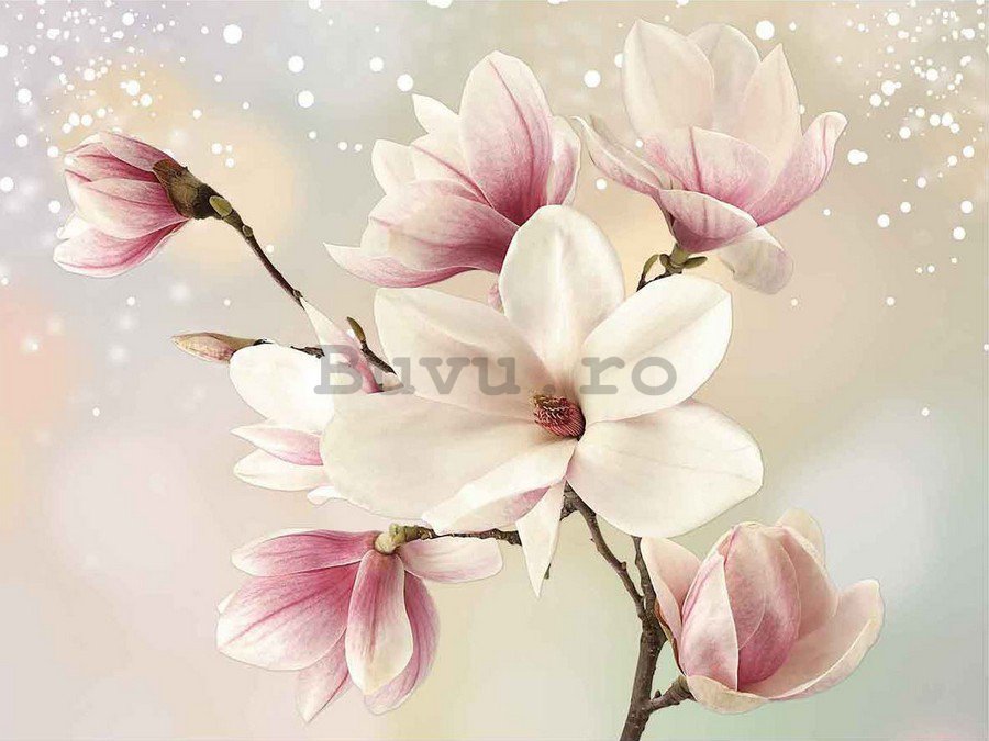 Tablou canvas: Magnolia (6) - 75x100 cm