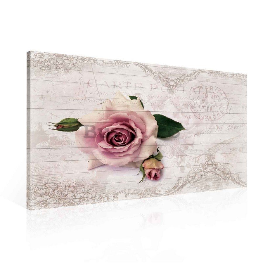 Tablou canvas: Trandafiri (carte postale) - 75x100 cm