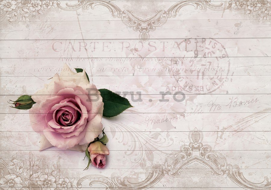 Tablou canvas: Trandafiri (carte postale) - 75x100 cm