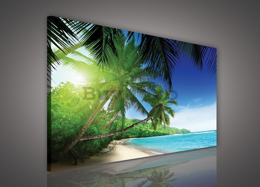 Tablou canvas: Paradis pe plajă - 75x100 cm