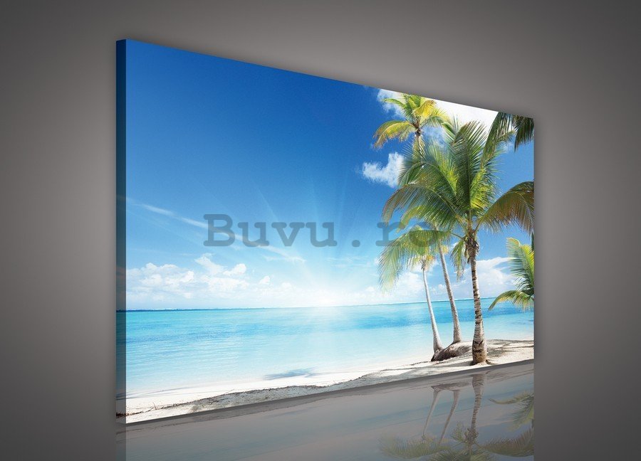 Tablou canvas: Palmieri pe plajă - 75x100 cm