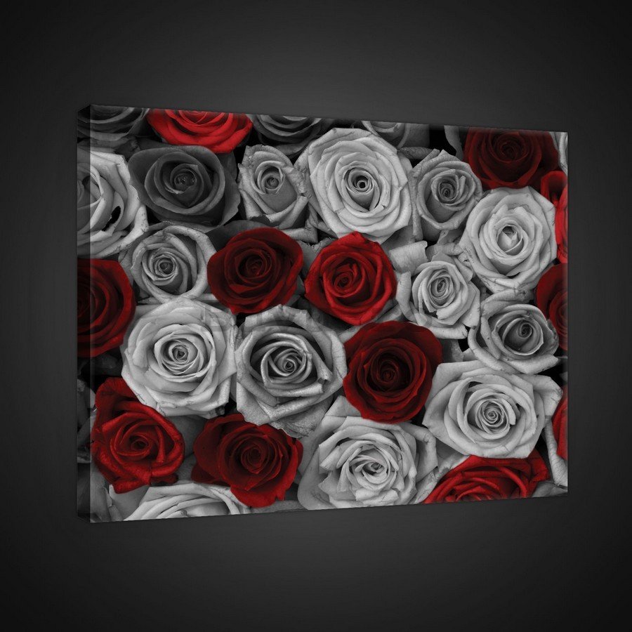 Tablou canvas: Trandafiri albi și roșii (1) - 75x100 cm