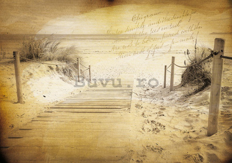 Tablou canvas: Drum spre plajă (vintage) - 75x100 cm